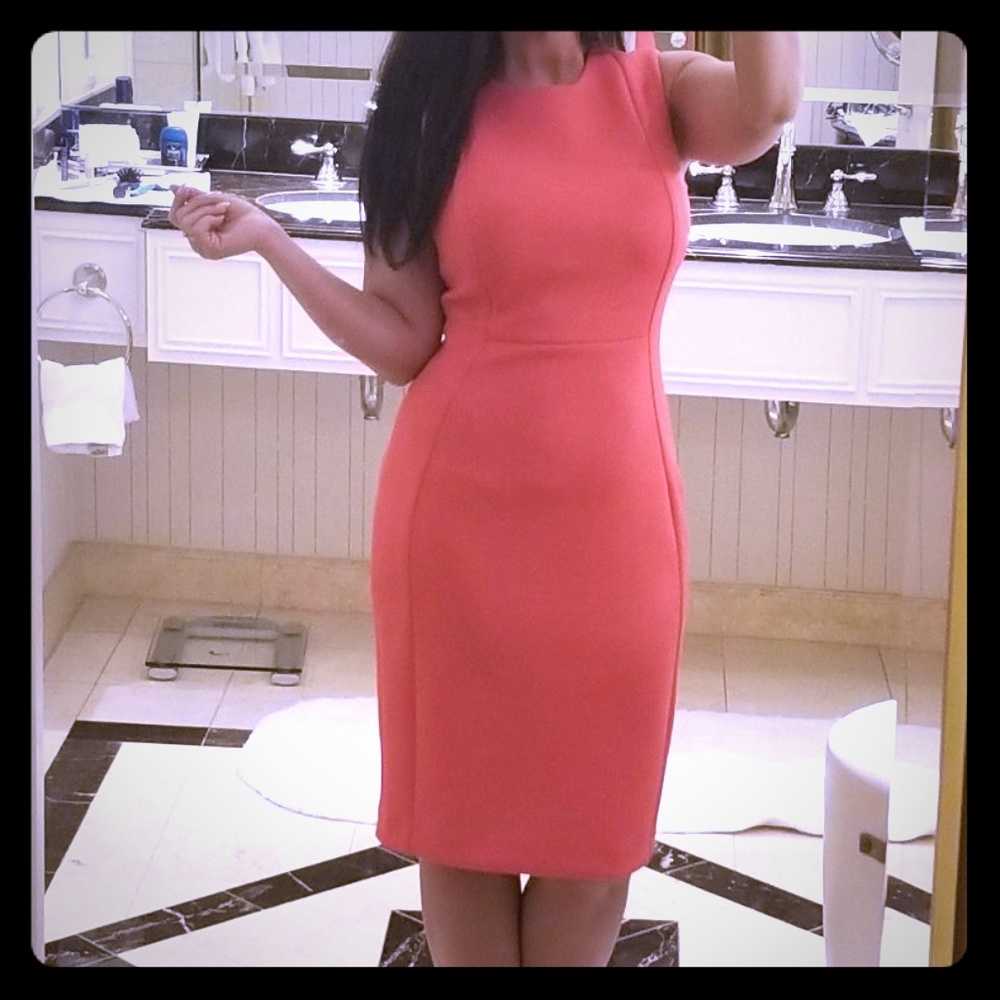 Calvin Klein pink dress, size 4